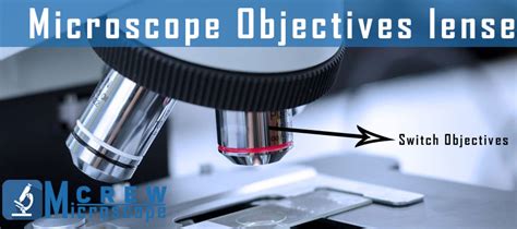 objective on a microscope|Guide to Microscope Objectives .